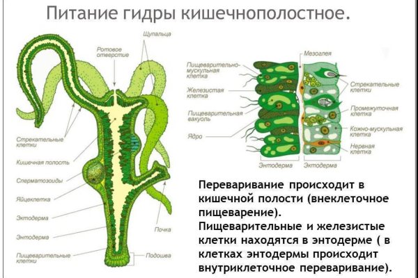 Kraken зеркало рабочее