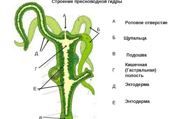 Кракен зеркало сайта