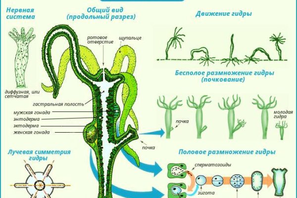 Kraken darknet kraken darknet 2n com