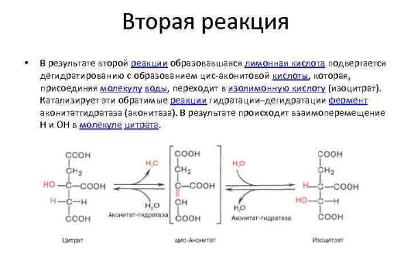 Ссылка на кракен через тор