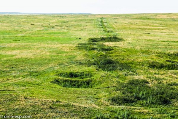 Кракен даркнет маркет зеркала